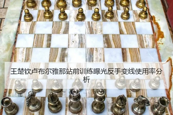 wang-chu-qin-lu-bu-er-ya-na-zhan-qian-xun-lian-bao-guang-fan-shou-bian-xian-shi-yong-lv-fen-xi-2-879.jpg